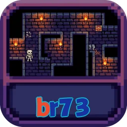 br73