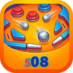 s08