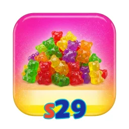 s29